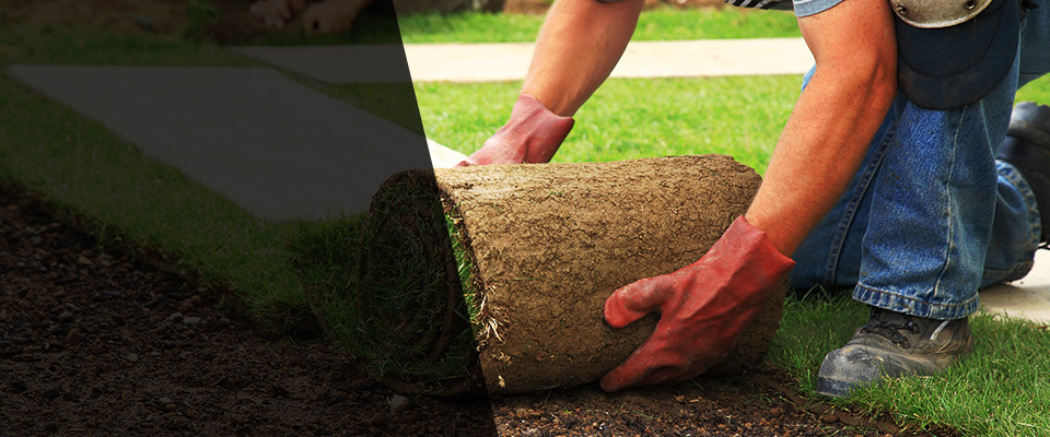Lawrenceville Landscapers